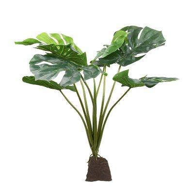 Lucky Reptile Monstera rostlina 60 cm Lucky Reptile Monstera rostlina 60 cm