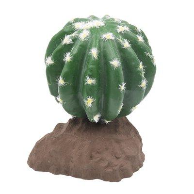 Lucky Reptile kulovitý kaktus 13 cm Lucky Reptile kulovitý kaktus 13 cm