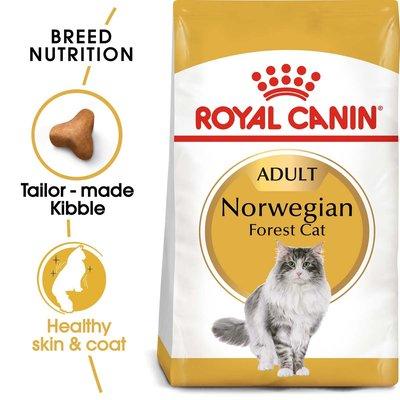 ROYAL CANIN Norwegian Forest Cat Adult pro norské lesní kočky ROYAL CANIN Norwegian Forest Cat Adult pro norské lesní kočky