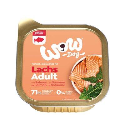 WOW Adult losos WOW Adult losos