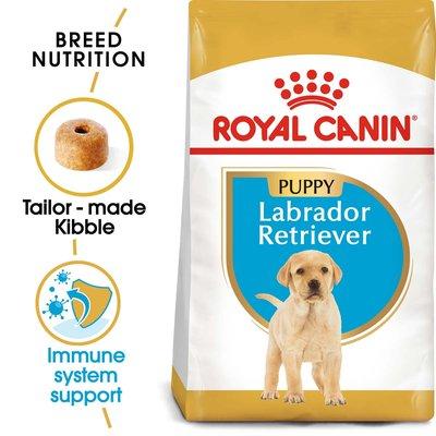 ROYAL CANIN Labrador Retriever Puppy granule pro štěňata ROYAL CANIN Labrador Retriever Puppy granule pro štěňata