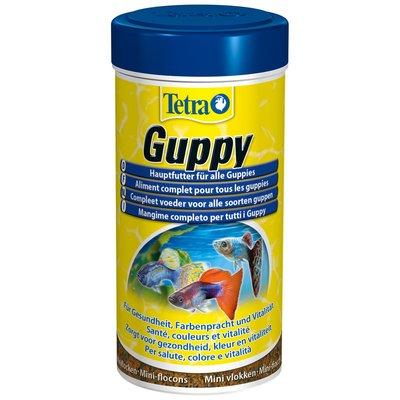 Tetra Guppy Tetra Guppy