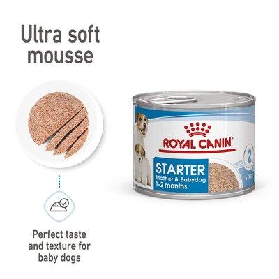 ROYAL CANIN SHN Starter Loaf Can 12× 195 g ROYAL CANIN SHN Starter Loaf Can 12× 195 g