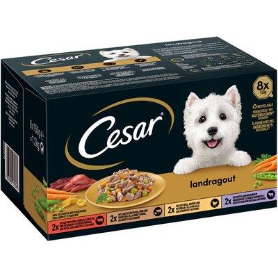 CESAR Landragout 4 příchutě CESAR Landragout 4 příchutě
