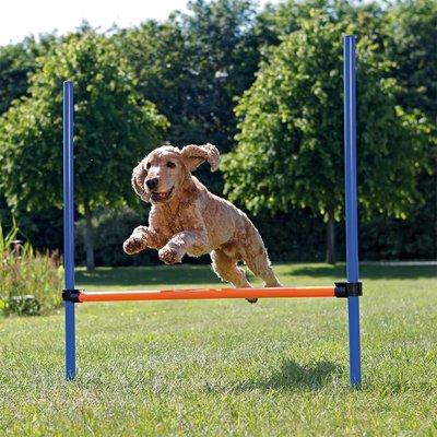 Trixie Dog Activity Agility překážka Trixie Dog Activity Agility překážka