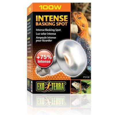 Exo Terra Intense Basking Spot 4+1 zdarma 100 W Exo Terra Intense Basking Spot 4+1 zdarma 100 W