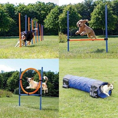 Trixie Dog Activity sada pro agility, čtyřdílná Trixie Dog Activity sada pro agility, čtyřdílná