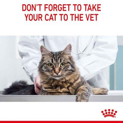 Granule ROYAL CANIN APPETITE CONTROL CARE pro dospělé kočky Granule ROYAL CANIN APPETITE CONTROL CARE pro dospělé kočky