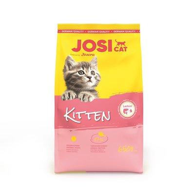 JosiCat Kitten JosiCat Kitten