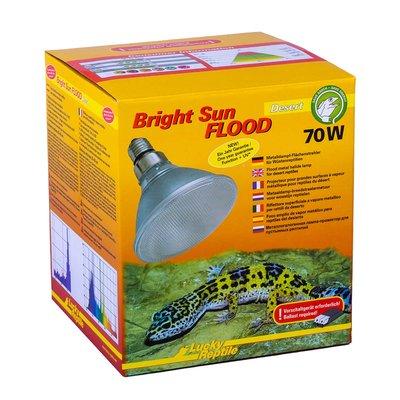 Lucky Reptile Bright Sun FLOOD Desert 70 W Lucky Reptile Bright Sun FLOOD Desert 70 W