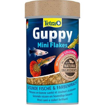 Tetra Guppy Tetra Guppy