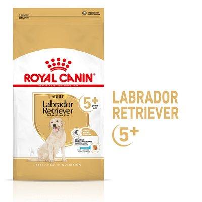 ROYAL CANIN Labrador Retriever Adult 5+ granule pro psy od 5 let ROYAL CANIN Labrador Retriever Adult 5+ granule pro psy od 5 let