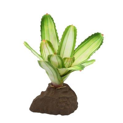 Lucky Reptile Bromélie Neoregelia bílá 20 cm Lucky Reptile Bromélie Neoregelia bílá 20 cm