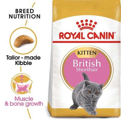 ROYAL CANIN British Shorthair suché krmivo pro koťata ROYAL CANIN British Shorthair suché krmivo pro koťata