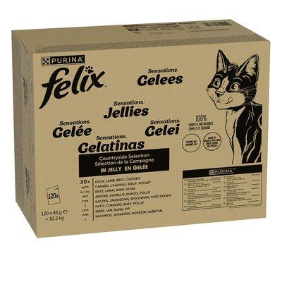 FELIX Sensations rozmanitost chutí z venkova 120x85 g FELIX Sensations rozmanitost chutí z venkova 120x85 g