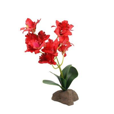 Lucky Reptile orchidej velká červená 30 cm Lucky Reptile orchidej velká červená 30 cm