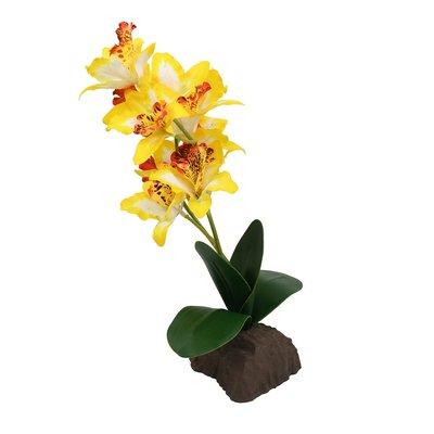 Lucky Reptile orchidee velká žlutá 35 cm Lucky Reptile orchidee velká žlutá 35 cm