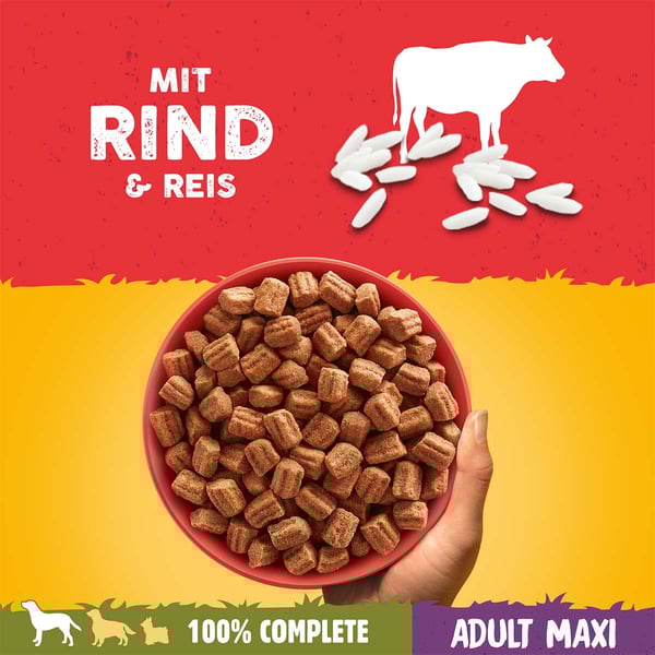 Pedigree adult maxi store