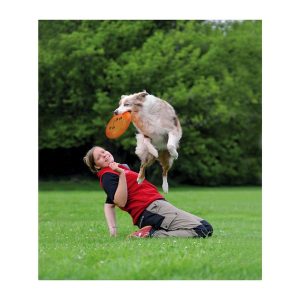 Frisbee trixie sale