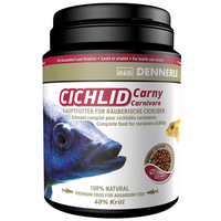 Dennerle Cichlid Carny