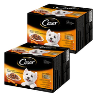 Cesar Feines oblíbené druhy v omáčce, 48 x 100 g