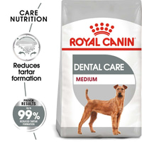ROYAL CANIN DENTAL CARE MEDIUM granule pro středně velké psy s citlivými zuby