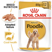 ROYAL CANIN Poodle Adult v omáčce kapsička pro pudly 12× 85 g