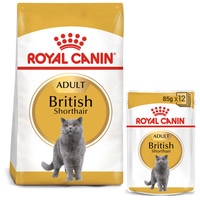 ROYAL CANIN ADULT British Shorthair 2 kg + kapsičky v omáčce 12× 85 g