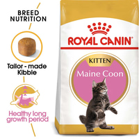 ROYAL CANIN Maine Coon granule pro koťata