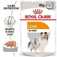 ROYAL CANIN COAT CARE kapsička pro lesklou srst 12× 85 g