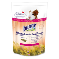 Bunny Mehrschweinchentraum young