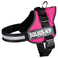 Julius-K9 Power postroj, fuchsiový