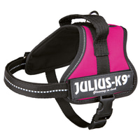 Julius-K9 Power postroj, fuchsiový