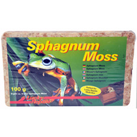Lucky Reptile Sphagnum Moos 100 g