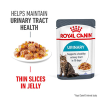 Royal Canin FCN Urinary Care želé