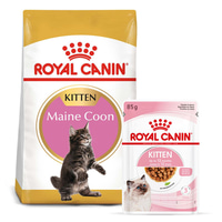 ROYAL CANIN KITTEN Maine Coon 4 kg + Kitten v omáčce 12× 85 g