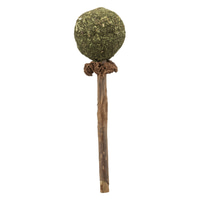 Trixie matatabi s Catnip Lolli