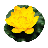 Velda Lotus Foam lotosový květ žlutý