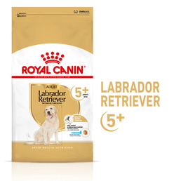 ROYAL CANIN Labrador Retriever Adult 5+ granule pro psy od 5 let