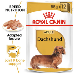 ROYAL CANIN Dachshund Adult kapsička pro jezevčíka 12× 85 g