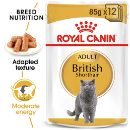 ROYAL CANIN British Shorthair Adult pro britské krátkosrsté kočky 