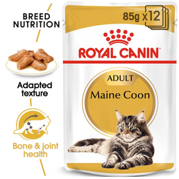 ROYAL CANIN Maine Coon Adult granule pro kočky