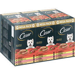 Cesar Klassik-Terrine, 4 variace, 24 × 150 g