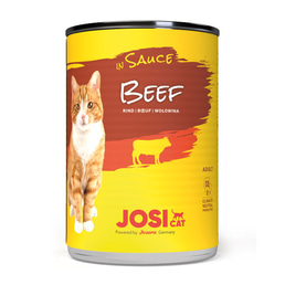 JosiCat Beef v omáčce