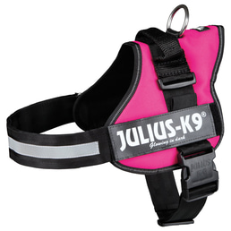 Julius-K9 Power postroj, fuchsiový