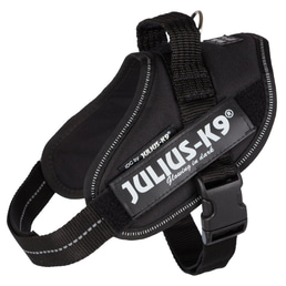 Julius-K9 IDC postroj, černý