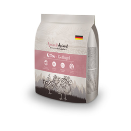 Venandi Animal – Kitten