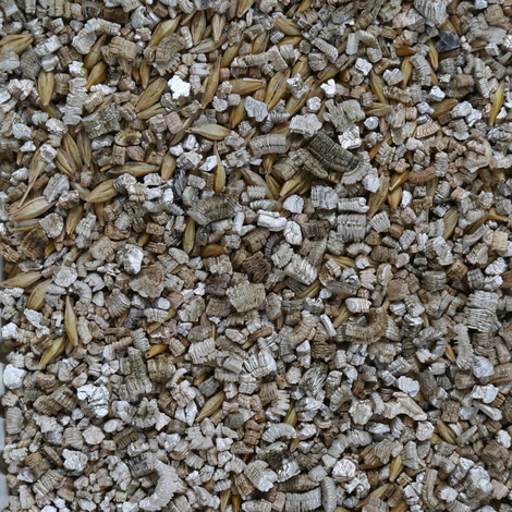GimCat HydroGras