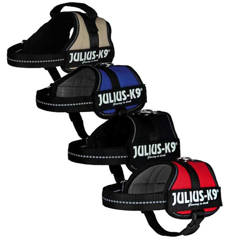Julius-K9 postroj pro psy, vel. Mini-Mini/S 40–53 cm