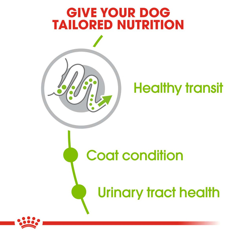 ROYAL CANIN X-SMALL Adult